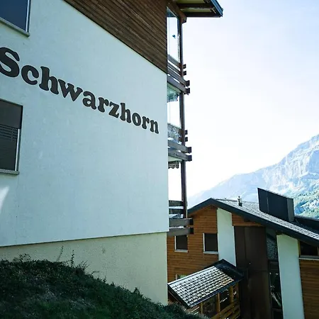 Schwarzhorn 2, Renoviert, Panorama-aussicht Appartamento